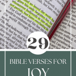 29 Bible verses for joy