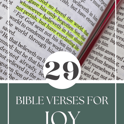 29 Bible Verses  About Joy